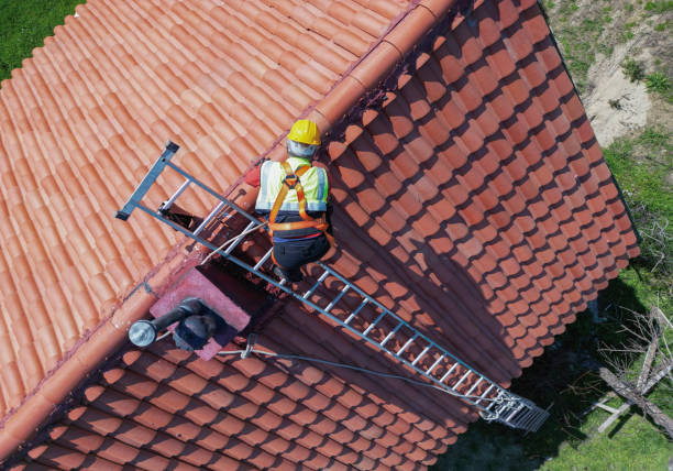 Best Flat Roofing  in La Grange Park, IL